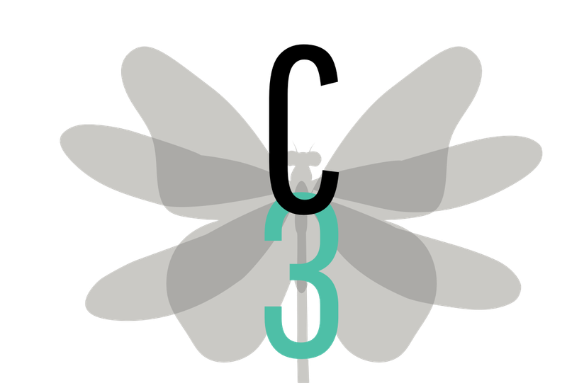 Logo C3 Staging